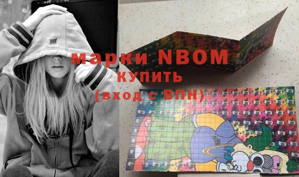 сатива Ельня