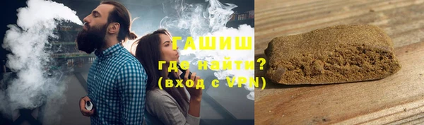 сатива Ельня