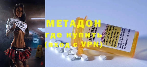 сатива Ельня