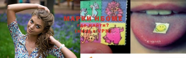сатива Ельня