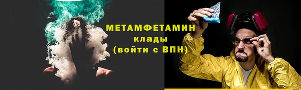 сатива Ельня