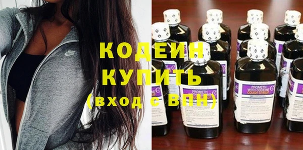 сатива Ельня