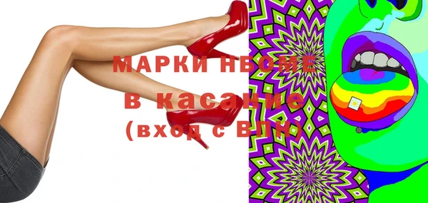 сатива Ельня