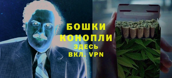 сатива Ельня